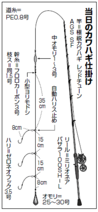 当日のカワハギ仕掛け