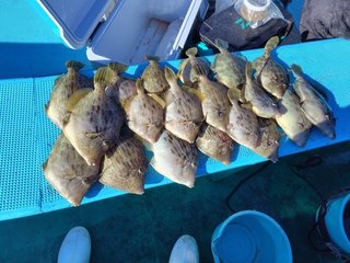 釣果