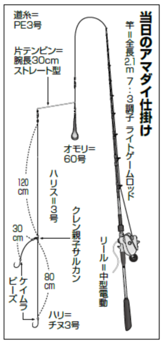 当日のアマダイ仕掛け