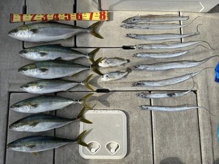 釣果