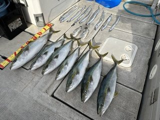 釣果