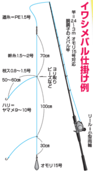 イワシ眼張仕掛け例