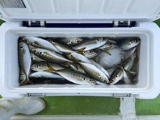 釣果