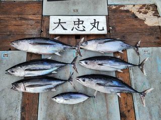 釣果