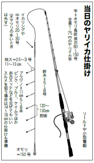 当日のヤリイカ仕掛け