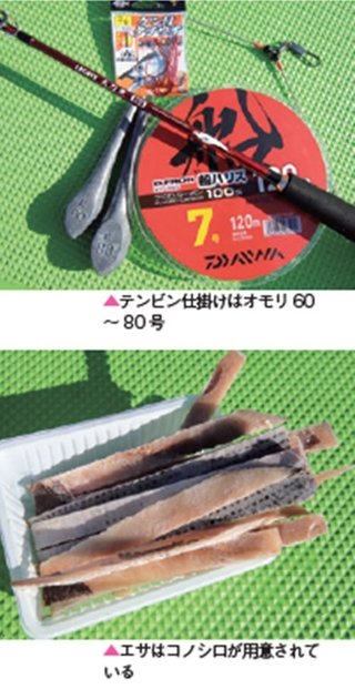 仕掛けよエサの写真