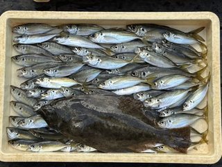 釣果