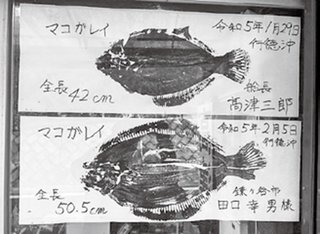 魚拓の写真