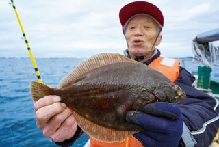 東京湾奥のお宝　マコガレイ健在