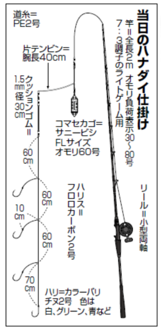 当日のハナダイ仕掛け