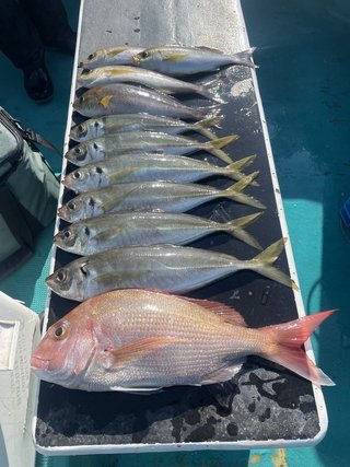釣果