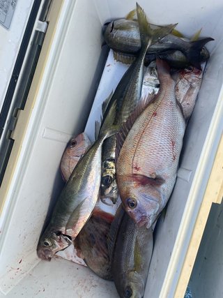 釣果