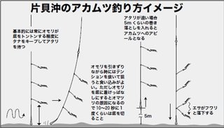 釣り方のイメージ図