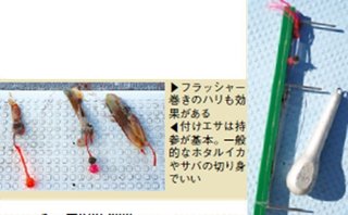 ハリとエサの写真