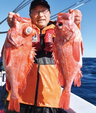 Daiwa キンメアコウメバル 深海300号 24 Daiwa キンメアコウメバル 深海300号 24