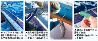 釣り方の写真