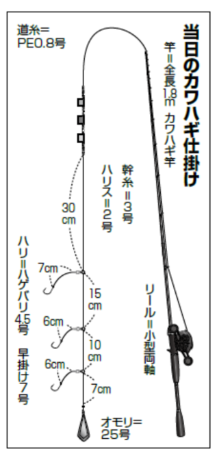 当日のカワハギ仕掛け