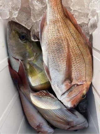 釣果