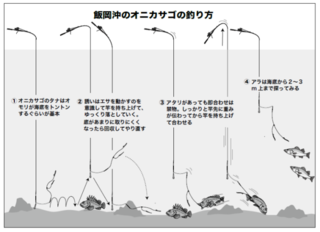 飯岡沖のオニカサゴの釣り方