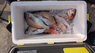 釣果