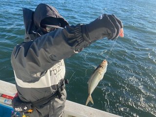 釣果