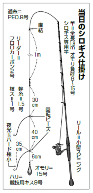 当日のシロギス仕掛け