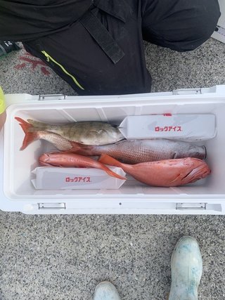 釣果