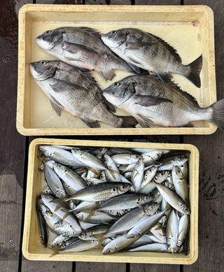 釣果