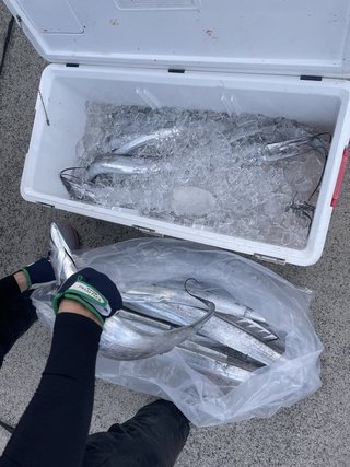 釣果