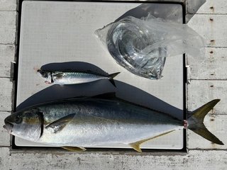 釣果