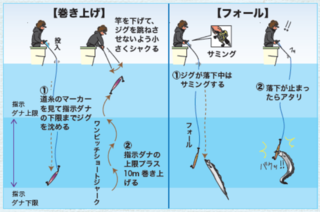 巻き上げ＆フォール