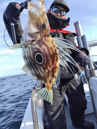 釣果