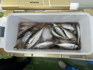釣果