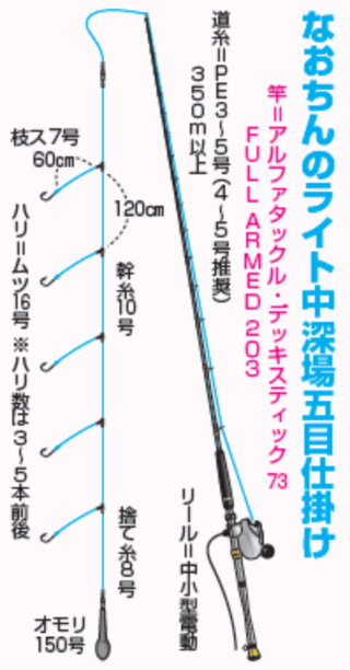 なおちんのライト中深場五目仕掛け