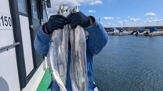 釣果