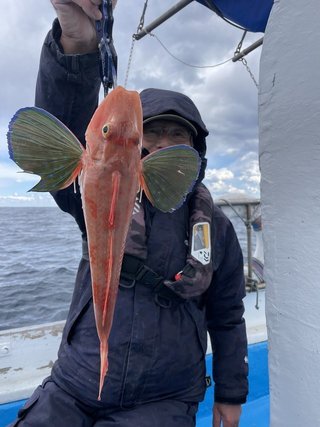 釣果