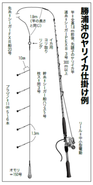 勝浦沖のヤリイカ仕掛け例