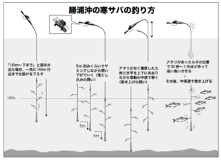 勝浦沖の寒サバの釣り方