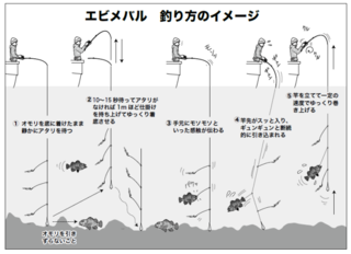 エビメバル　釣り方のイメージ