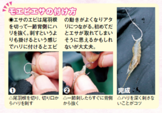 モビエサの付け方