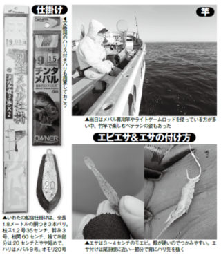 仕掛け・竿・エビエサ＆エサの付け方