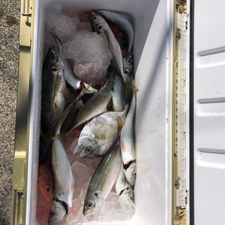 釣果