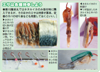 エサは各種持参しよう