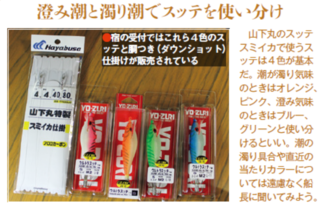 澄み潮と濁り潮でスッテを使い分け