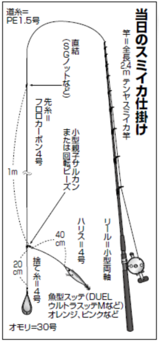 当日のスミイカ仕掛け