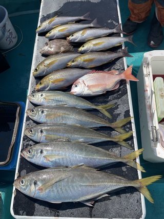 釣果