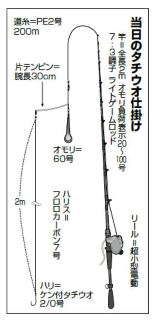 当日のタチウオ仕掛け