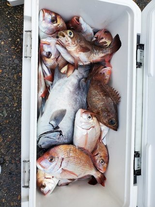 釣果