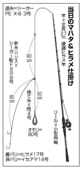 当日のマハタ＆ヒラメ仕掛け