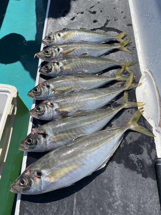 釣果
